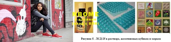 амф Приозерск