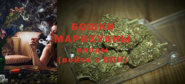 шишки Новосибирск