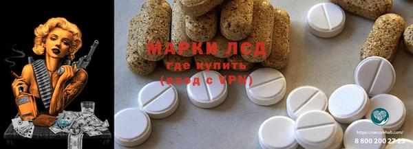 шишки Новосибирск